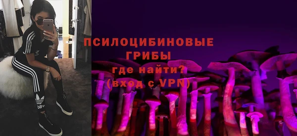 сатива Аркадак