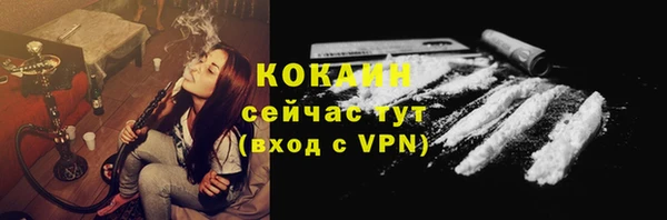 сатива Аркадак