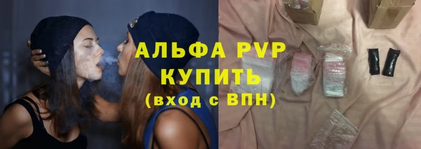 сатива Аркадак