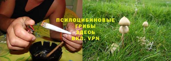 спиды Армянск