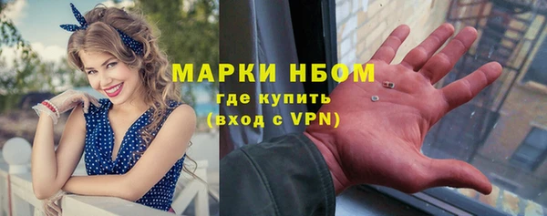 сатива Аркадак