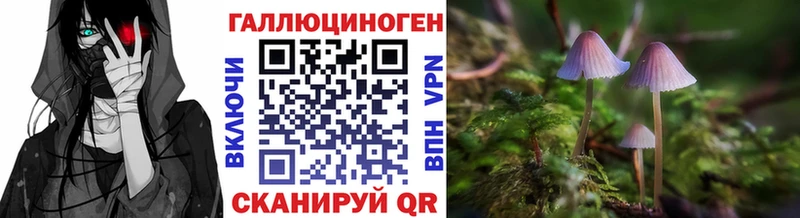купить закладку Россошь Галлюциногенные грибы мухоморы