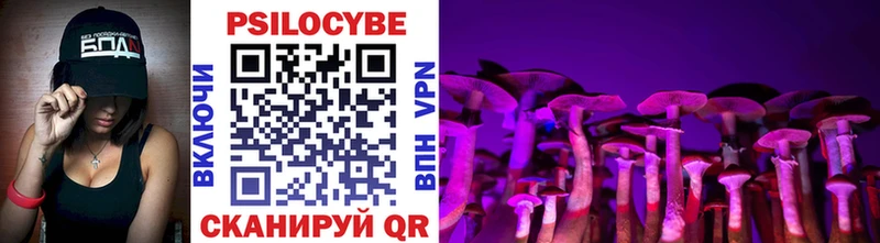 Псилоцибиновые грибы Cubensis Россошь